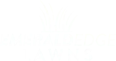Thick green lawn service in Metro East, IL