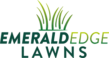 Aeration benefits for Metro East, IL lawns