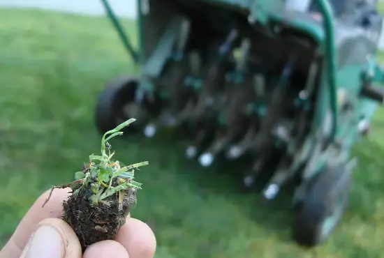 Lawn aeration core sample showing improved soil performance in Clinton County, IL