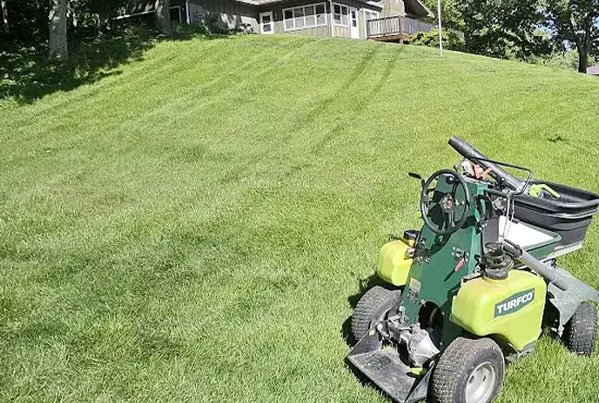 Grub & Insect Control Highland IL