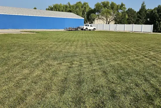 Grub & Insect Control