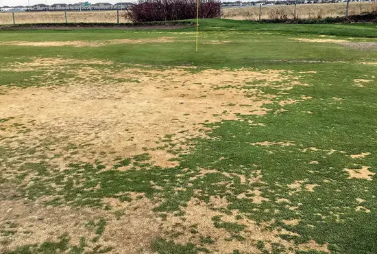 Grub & Insect Control in Marine IL