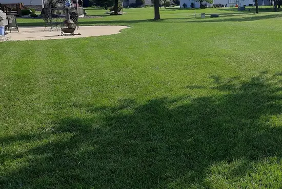 Lawn Aeration & Soil Health Highland IL