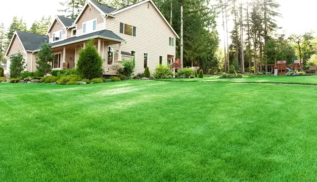 Lawn Care Highland IL
