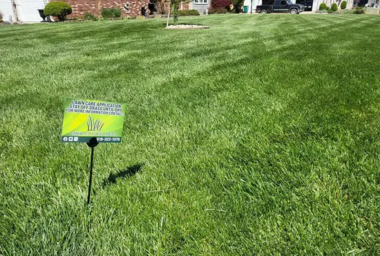 turf strengthening Carlyle IL