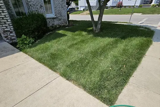 Lawn Fertilization & Weed Control Highland IL
