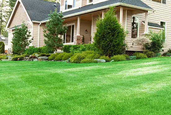 Seeding & Lawn Improvement St. Jacob IL