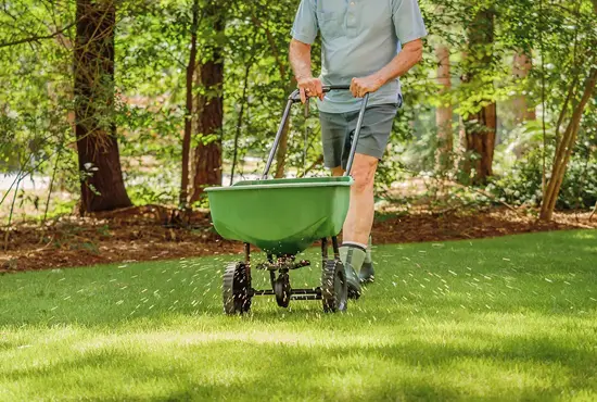 Overseeding Aviston IL