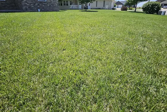 Lawn Care Highland IL