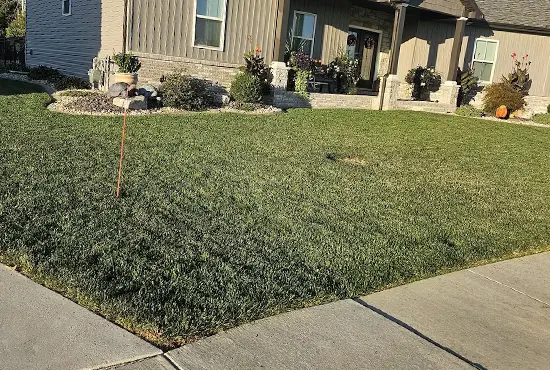 Seeding & Lawn Improvement St. Jacob IL