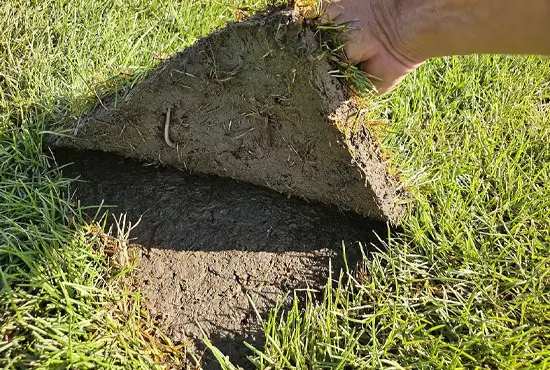 Soil Conditioning & Turf-Improvement Greenville IL