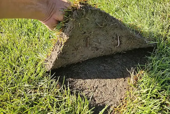 Soil Improvement & Lawn Conditioning Carlyle IL