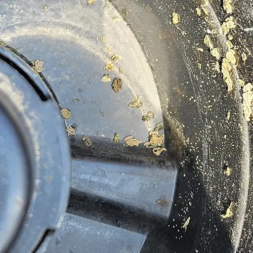 Mosquito Traps Larvae Traps
