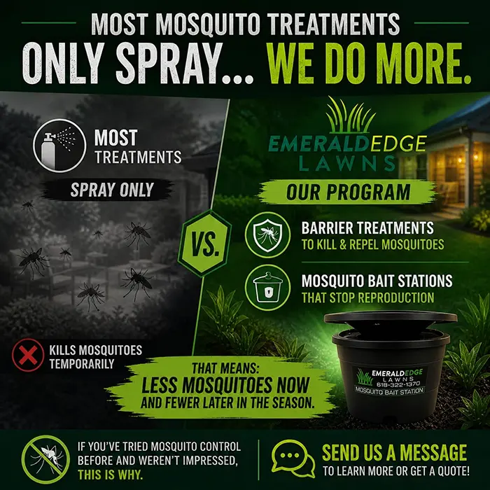 Mosquito Treatments